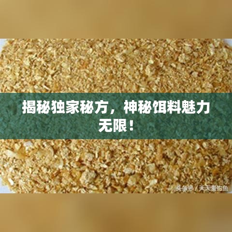 独一无二 第5页