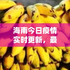海南今日疫情实时更新,最新资讯与动态