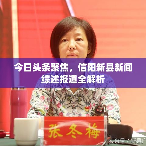 今日头条聚焦，信阳新县新闻综述报道全解析