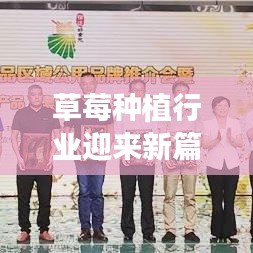 草莓种植行业迎来新篇章,最新种植技术揭秘,行业资讯抢先看