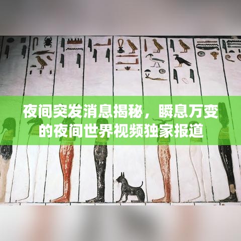 夜间突发消息揭秘，瞬息万变的夜间世界视频独家报道