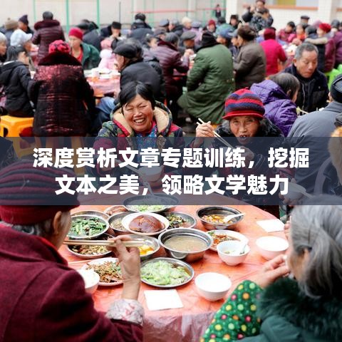 深度赏析文章专题训练,挖掘文本之美,领略文学魅力
