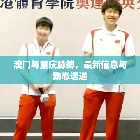 澳门与重庆脉搏,最新信息与动态速递