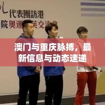 澳门与重庆脉搏,最新信息与动态速递