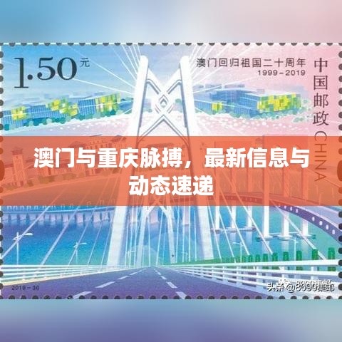 澳门与重庆脉搏,最新信息与动态速递