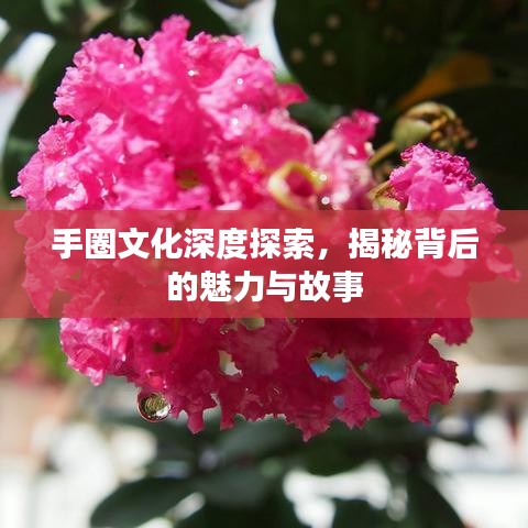 手圈文化深度探索,揭秘背后的魅力与故事