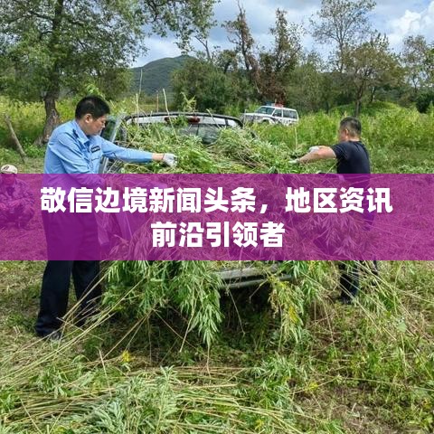 敬信边境新闻头条，地区资讯前沿引领者