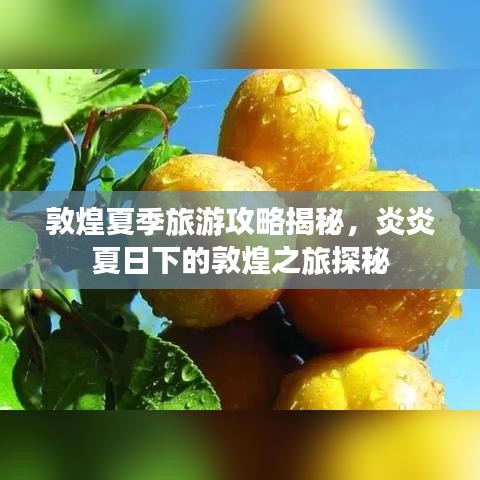 敦煌夏季旅游攻略揭秘,炎炎夏日下的敦煌之旅探秘