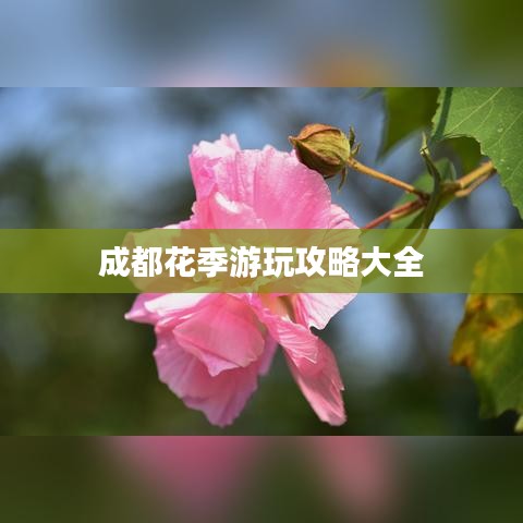 成都花季游玩攻略大全