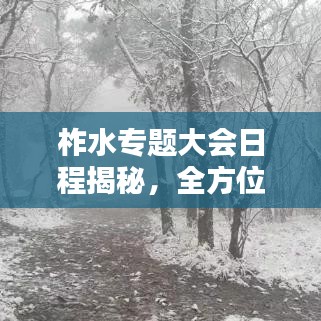 柞水专题大会日程揭秘，全方位了解会议安排，不容错过！