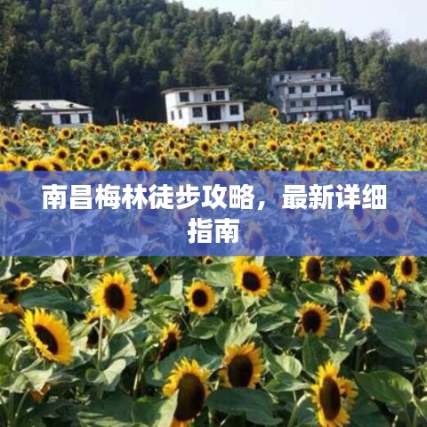 南昌梅林徒步攻略，最新详细指南