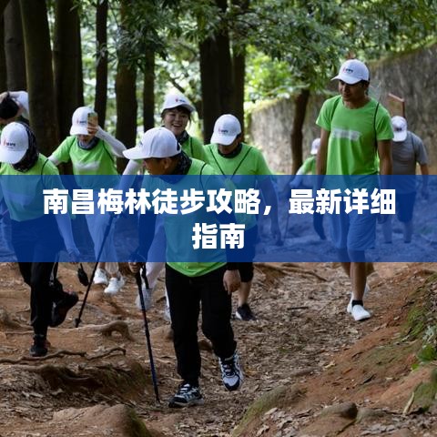 南昌梅林徒步攻略,最新详细指南