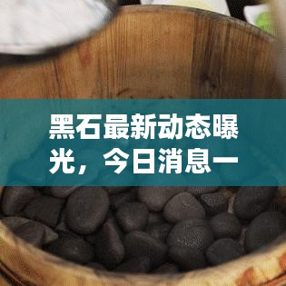黑石最新动态曝光，今日消息一览