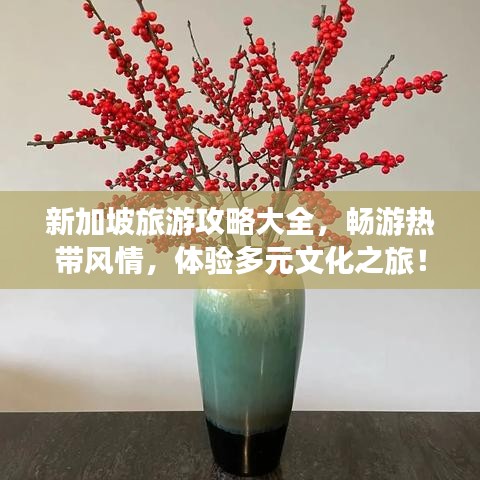 新加坡旅游攻略大全，畅游热带风情，体验多元文化之旅！