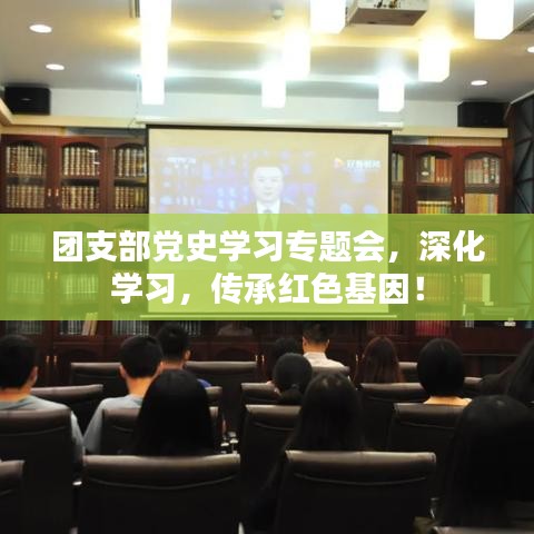 团支部党史学习专题会,深化学习,传承红色基因!