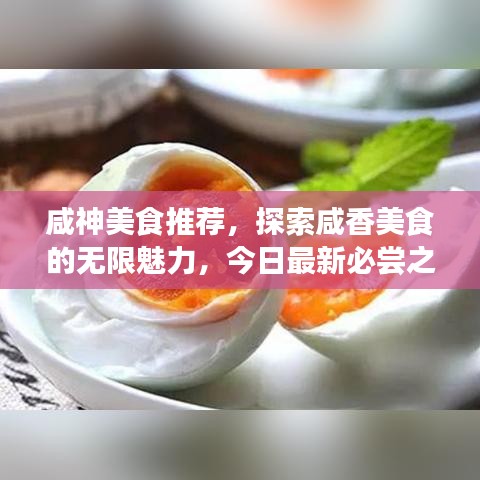 咸神美食推荐，探索咸香美食的无限魅力，今日最新必尝之选！