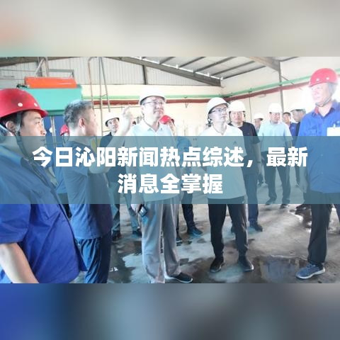 今日沁阳新闻热点综述,最新消息全掌握