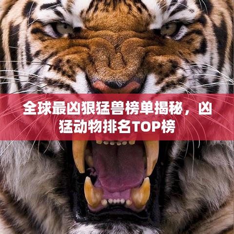 就汤下面 第5页