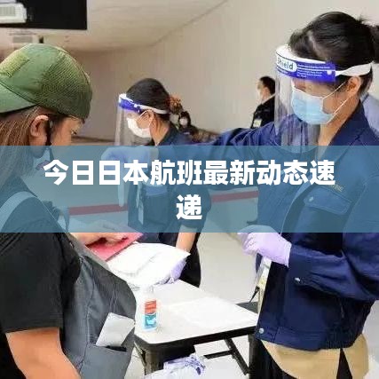 今日日本航班最新动态速递