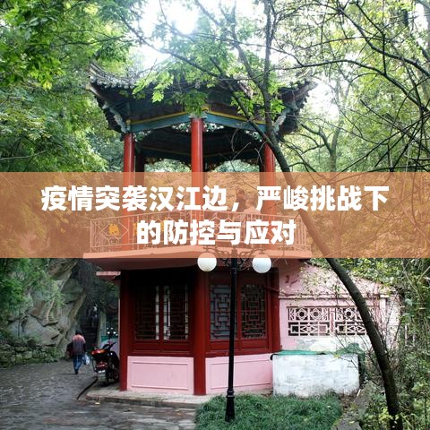 疫情突袭汉江边,严峻挑战下的防控与应对