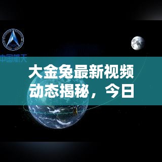 大金兔最新视频动态揭秘,今日更新不容错过!