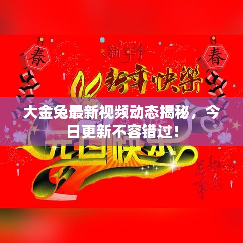 大金兔最新视频动态揭秘,今日更新不容错过!