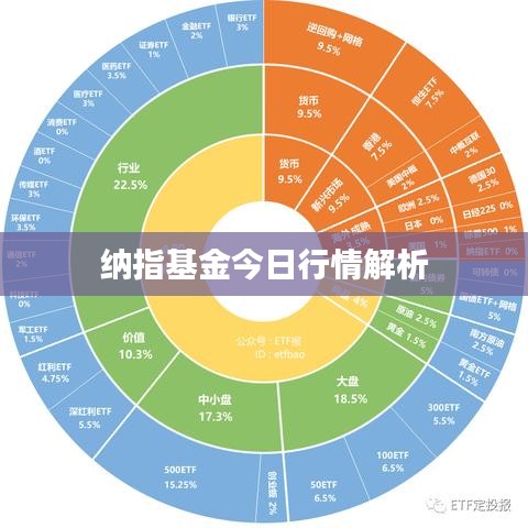 纳指基金今日行情解析