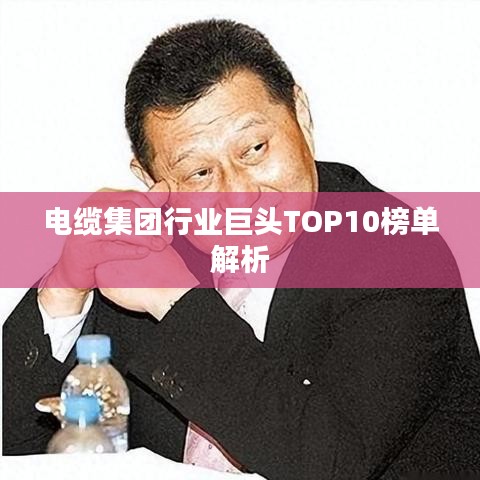 电缆集团行业巨头TOP10榜单解析