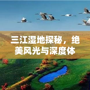 三江湿地探秘，绝美风光与深度体验攻略