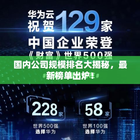 国内公司规模排名大揭秘，最新榜单出炉！