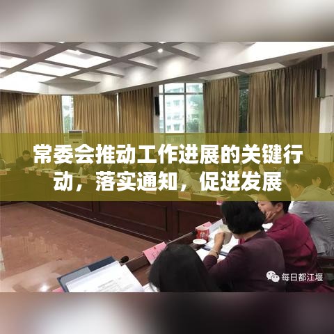 常委会推动工作进展的关键行动，落实通知，促进发展