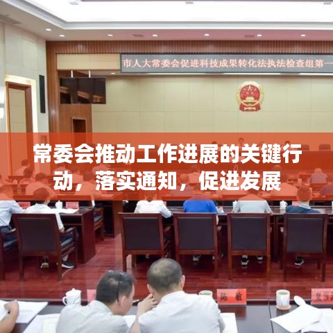 常委会推动工作进展的关键行动,落实通知,促进发展