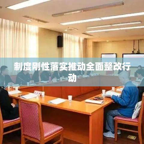 制度刚性落实推动全面整改行动