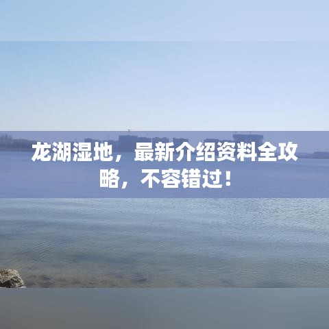 龙湖湿地,最新介绍资料全攻略,不容错过!