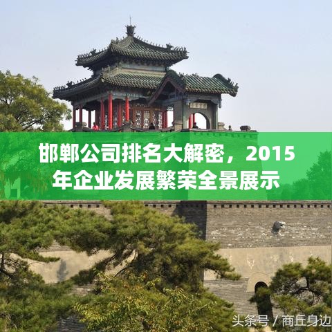 邯郸公司排名大解密，2015年企业发展繁荣全景展示