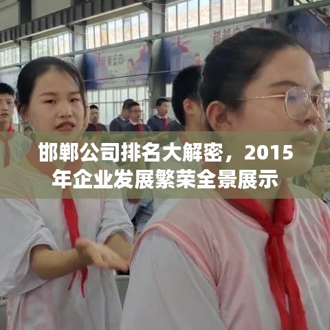 邯郸公司排名大解密,2015年企业发展繁荣全景展示