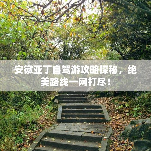 安徽亚丁自驾游攻略探秘,绝美路线一网打尽!