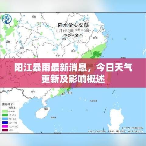阳江暴雨最新消息，今日天气更新及影响概述