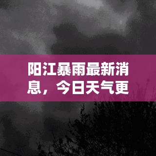 阳江暴雨最新消息,今日天气更新及影响概述
