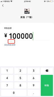 微信多开免费版本,综合计划评估说明&amp;WP版_v3.781