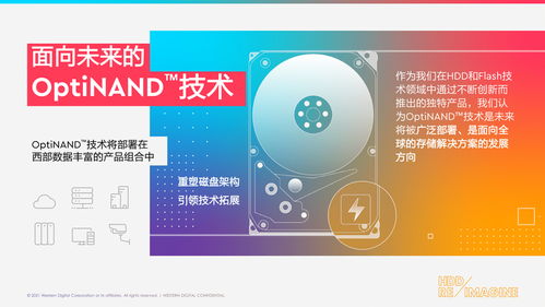 意林版本,数据解析设计导向|7DM1_v7.553