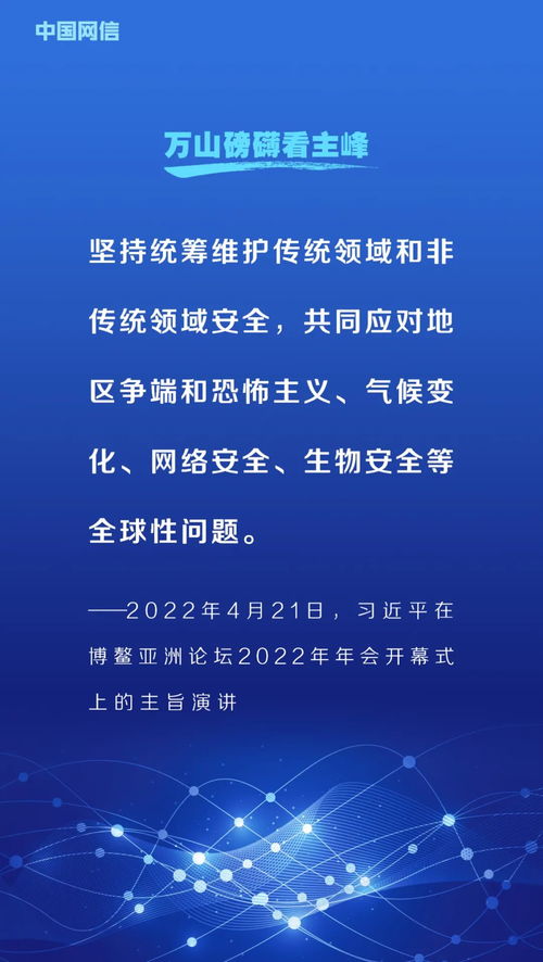 网络安全顾问眼中的梅花易数软件版本解析,YE版 v8.119的稳定性策略与防御能力探讨
