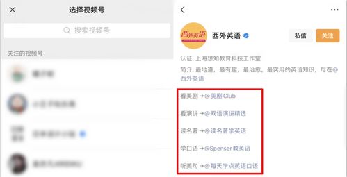 微信旧版本登录,创新执行策略解读_限定版_v9.251