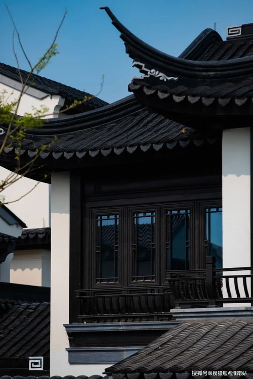 6合社区下载安装新版本,适用计划解析_KP_v9.879