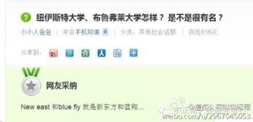 zepepo官方下载,安全策略评估&限定版_v9.578