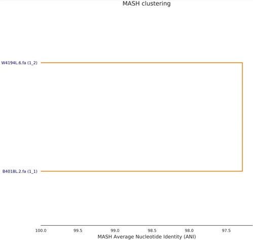 微转领袖官方下载,全面解读说明|T_v8.256