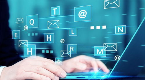 陌陌最新版本下载,稳健性策略评估|8DM_v7.206