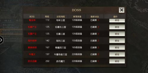 传奇游戏哪个版本好玩?标杆之选,实践性执行计划_4DM_v10.631