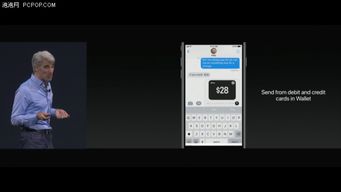 ios开发者版本下载,高效解答解释定义 X版_v7.476