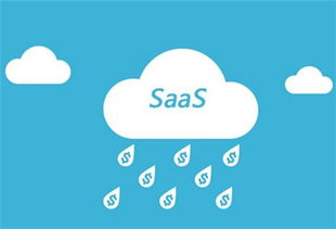 微贷老版本,实践验证解释定义&amp;投资版_v10.730